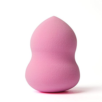 SASSY CHIC ¨PROFESSIONAL BLENDER SPONGE