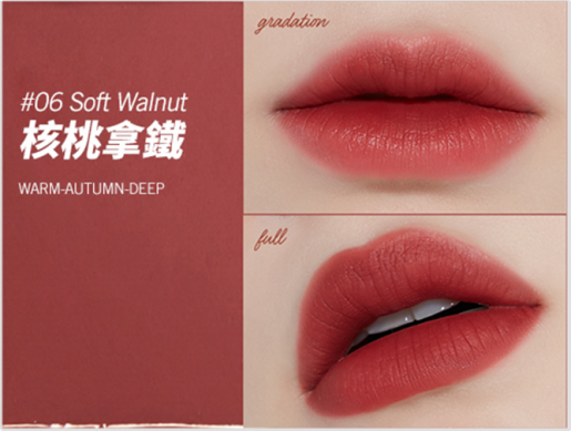 ETUDE Fixing Tint 4g Long #06 Soft Walnut Lasting High Pigmented Liquid Lipstick